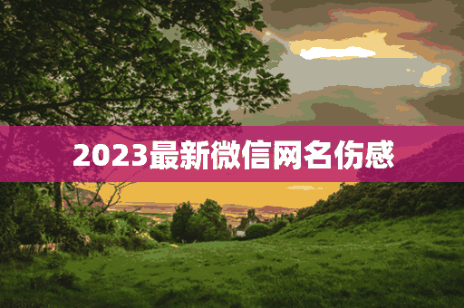 2023最新微信网名伤感(2023微信网名伤感女)